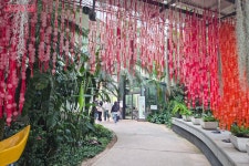 서울식물원에서 서울달까지! 직접 짜본 한강버스 봄나들이 루트 | 서울시 - 내 손안에 서울 서울식물원에서 서울달까지! 직접 짜본 한강버스... 