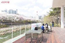 벚꽃과 함께 구경하니 금상첨화! 우이천 노원우이마루 개관 | 서울시 - 내 손안에 서울 벚꽃과 함께 구경하니 금상첨화! 우이천 노원우이마루 개관