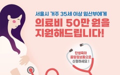 뉴스 | 서울시 - 내 손안에 서울 내 손안에 서울