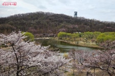 정원놀이교육.커피숲.아쿠아워시전주점 | 식목일 맞아 '꿈의숲, 꿈의정원' 조성했어요 | 서울시 - 내 손안에 서울 꿈을 심어 희망을 피우다! 식목일 맞아 '꿈의숲, 꿈의정원' 조성했어요