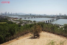 저장 필수! 2.3km 초록빛 힐링 로드 월드컵공원 메타세쿼이아길 | 서울시 - 내 손안에 서울 저장 필수! 2.3km 초록빛 힐링 로드 월드컵공원... 