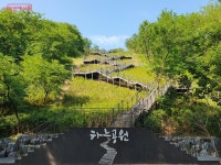 피톤치드 가득! 월드컵공원 메타세쿼이아길 피서지로 인기 예감 | 서울시 - 내 손안에 서울 피톤치드 가득! 월드컵공원 메타세쿼이아길... 