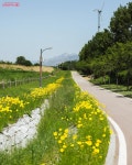 2.3km 초록빛 힐링 로드 월드컵공원 메타세쿼이아길 | 서울시 - 내... 서울 저장 필수! 2.3km 초록빛 힐링 로드 월드컵공원 메타세쿼이아길