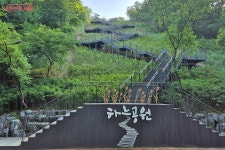 월드컵공원 메타세쿼이어길 완성 | 서울시 - 내 손안에 서울 러닝·산책·휴식 명소로 재탄생! 월드컵공원 메타세쿼이어길 완성
