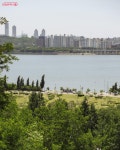 2.3km 초록빛 힐링 로드 월드컵공원 메타세쿼이아길 | 서울시 - 내... 서울 저장 필수! 2.3km 초록빛 힐링 로드 월드컵공원 메타세쿼이아길