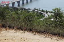 2.3km 초록빛 힐링 로드 월드컵공원 메타세쿼이아길 | 서울시 - 내... 서울 저장 필수! 2.3km 초록빛 힐링 로드 월드컵공원 메타세쿼이아길