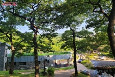 퇴근 후 떠나는 중랑가족캠핑장 | 서울시 - 내 손안에 서울 텐트 밖은 도심, 텐트 안은 힐링! 퇴근 후 떠나는 중랑가족캠핑장 