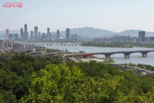 2.3km 초록빛 힐링 로드 월드컵공원 메타세쿼이아길 | 서울시 - 내... 서울 저장 필수! 2.3km 초록빛 힐링 로드 월드컵공원 메타세쿼이아길