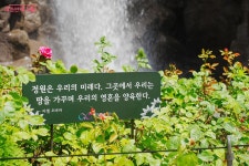 도로 바로 옆 폭포의 정체는? 도심 속 이색 폭포공원, 여기! | 서울시 - 내 손안에 서울 도로 바로 옆 폭포의 정체는? 도심 속 이색 폭포공원, 여기!