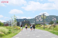장바구니 들고 서울동행상회로~ | 서울시 - 내 손안에 서울 산지직송 제철 과일로 더위 타파! 장바구니 들고 서울동행상회로~