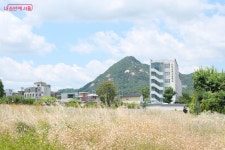 장바구니 들고 서울동행상회로~ | 서울시 - 내 손안에 서울 산지직송 제철 과일로 더위 타파! 장바구니 들고 서울동행상회로~