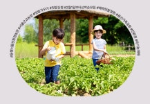 내 손안에 서울 | 뉴스레터 - 2024년 1월 25일 목요일 [5115]