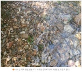 신선계곡이 따로 없네 | 서울시 - 내 손안에 서울 신선계곡이 따로 없네