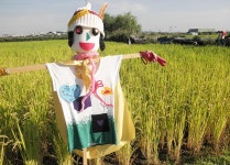 수확의 계절 가을엔 ‘힐링체험 농원’ 놀러가요~ > 내 손안에 서울... 시민소통 > 정보소통광장 수확의 계절 가을엔 ‘힐링체험 농원’ 놀러가요~