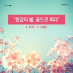 [카드뉴스] 한강봄꽃축제 누구와 즐겨도 좋아! | 서울시 - 내 손안에 서울 [카드뉴스] 한강봄꽃축제 누구와 즐겨도 좋아!