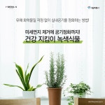 [카드뉴스] 미세먼지 잡는 녹색식물 활용법 | 서울시 - 내 손안에 서울 [카드뉴스] 미세먼지 잡는 녹색식물 활용법