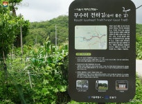 여름 잊는 도봉산 무수골계곡 속으로 풍덩! | 서울시 - 내 손안에 서울 여름 잊는 도봉산 무수골계곡 속으로 풍덩!