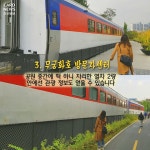 [카드뉴스] 경춘선숲길 잘생긴 사진촬영지 5 | 서울시 - 내 손안에 서울 [카드뉴스] 경춘선숲길 잘생긴 사진촬영지 5