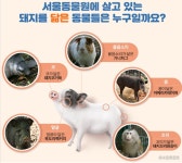 봄이 오는 길목, 서울동물원 다양하게 즐기기 > 내 손안에 서울 > 서울이야기 > 시민소통 > 정보소통광장 봄이 오는 길목, 서울동물원 다양하게 즐기기