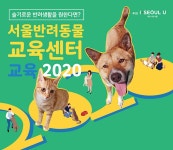 반려동물교육센터 6월부터 무료 교육 시작 | 서울시 - 내 손안에 서울