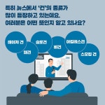 [슬기로운 말글살이 2] 테이저 건? 왜건? 너무 많은 건들 > 내 손안에 서울 > 서울이야기 > 시민소통 > 정보소통광장