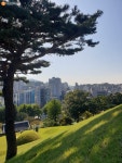 세종의 형, 효령대군 아시나요? 방배동 청권사 이야기 | 서울시 - 내 손안에 서울 세종의 형, 효령대군 아시나요? 방배동 청권사 이야기