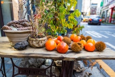 서촌의 오래된 골목으로 떠난 서울 동네여행 > 내 손안에 서울 > 서울이야기 > 시민소통 > 정보소통광장 서촌의 오래된 골목으로 떠난 서울 동네여행