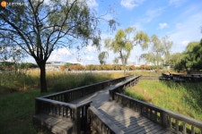 설렘 가득! 평화의 공원 가을산책 | 서울시 - 내 손안에 서울