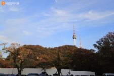 서울 한양도성 순성과 함께 하는 절정의 남산 단풍 탐방 | 서울시 - 내 손안에 서울 서울 한양도성 순성과 함께 하는 절정의 남산 단풍 탐방