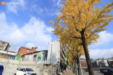 공덕에서 서소문까지, 단풍 곱게 물든 걷기 좋은 길 > 내 손안에 서울 > 서울이야기 > 시민소통 > 정보소통광장
