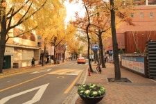 느리게 걸으면 더 좋은 정동길과 고종의 길 | 서울시 - 내 손안에 서울 느리게 걸으면 더 좋은 정동길과 고종의 길