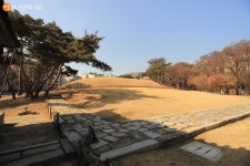 강남 도심 속 쉼터 ‘선릉’에서 힐링 산책 > 내 손안에 서울 > 서울이야기 > 시민소통 > 정보소통광장 강남 도심 속 쉼터 ‘선릉’에서 힐링 산책