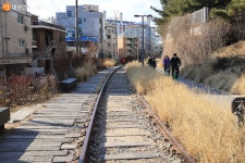 철길 따라 봄소식 따라 걷는 경춘선숲길 > 내 손안에 서울 > 서울이야기 > 시민소통 > 정보소통광장