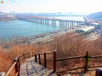 [사진] 달맞이봉공원⋯성큼 다가온 봄 향기 | 서울시 - 내 손안에 서울 [사진] 달맞이봉공원⋯성큼 다가온 봄 향기