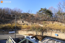 걷기 좋은 봄 산책로, 월곡산 오동공원 | 서울시 - 내 손안에 서울