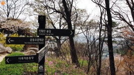 그림 따라 흙길 따라~ 진경산수화길, 인왕산 숲길 | 서울시 - 내 손안에 서울 그림 따라 흙길 따라~ 진경산수화길, 인왕산 숲길