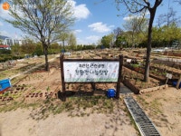 도봉구 명품 공원! 초안산 생태공원 | 서울시 - 내 손안에 서울 도봉구 명품 공원! 초안산 생태공원