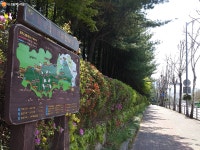 맨발로 걷기 딱 좋아! 불암산 기슭 태릉 백세길 | 서울시 - 내 손안에 서울 맨발로 걷기 딱 좋아! 불암산 기슭 태릉 백세길