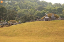 도심 속 고요한 정원, 서울 의릉을 찾아서 | 서울시 - 내 손안에 서울 도심 속 고요한 정원, 서울 의릉을 찾아서