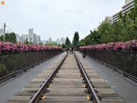 기찻길, 꽃길, 가로수길 다 모였네! 경춘선 숲길 | 서울시 - 내 손안에 서울 기찻길, 꽃길, 가로수길 다 모였네! 경춘선 숲길