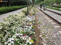 기찻길, 꽃길, 가로수길 다 모였네! 경춘선 숲길 | 서울시 - 내 손안에 서울 기찻길, 꽃길, 가로수길 다 모였네! 경춘선 숲길