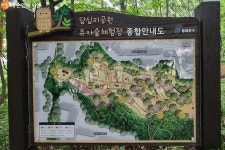 자연 속에서 뛰놀자! 답십리 유아숲체험장 | 서울시 - 내 손안에 서울 자연 속에서 뛰놀자! 답십리 유아숲체험장