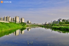 [사진] 중랑천, 나만의 힐링 스팟 | 서울시 - 내 손안에 서울