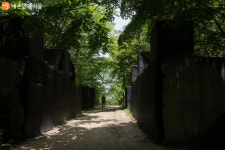 [사진] 우이령길 따라 여유만만 산행 | 서울시 - 내 손안에 서울