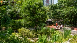 [사진] 방학천의 발바닥공원! 아시나요? | 서울시 - 내 손안에 서울