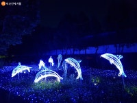 Foto aus Naver-Suchergebnissen 4