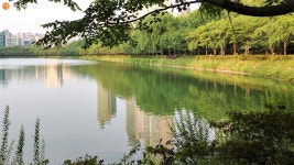 도심 속 호숫가 산책…잔잔한 평화 밀려오네! > 내 손안에 서울 > 서울이야기 > 시민소통 > 정보소통광장 도심 속 호숫가 산책…잔잔한 평화 밀려오네!