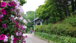 솔바람이 솔솔~ 불암산 하루길 여름에 가기 좋아요! | 서울시 - 내 손안에 서울 솔바람이 솔솔~ 불암산 하루길 여름에 가기 좋아요!