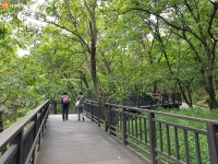 한 여름 서울 계곡서 신선놀음! 수락산 벽운계곡 | 서울시 - 내 손안에 서울 한 여름 서울 계곡서 신선놀음! 수락산 벽운계곡