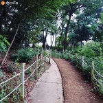 해질녁 산책하기 좋은 우장산근린공원에서 힐링! | 서울시 - 내 손안에 서울 해질녁 산책하기 좋은 우장산근린공원에서 힐링!